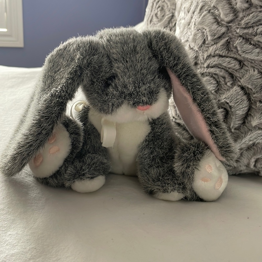 Long eared bunny named Bouncy.